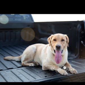 Meet your Posher, Taylor